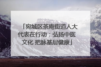 宛城区茶庵街道人大代表在行动：弘扬中医文化 把脉基层健康