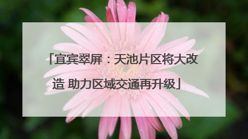 宜宾翠屏：天池片区将大改造 助力区域交通再升级
