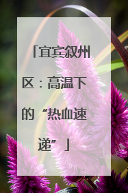 宜宾叙州区：高温下的“热血速递”