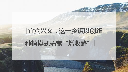 宜宾兴文：这一乡镇以创新种植模式拓宽“增收路”