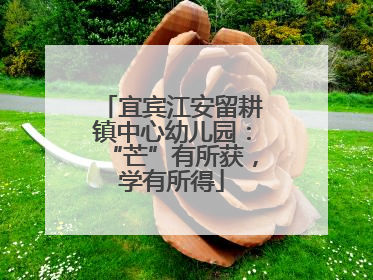 宜宾江安留耕镇中心幼儿园：“芒”有所获，学有所得