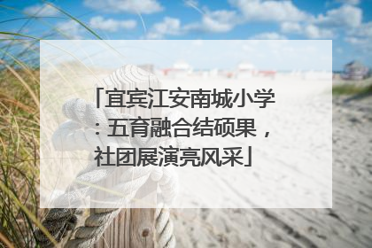 宜宾江安南城小学：五育融合结硕果，社团展演亮风采