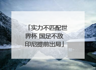 实力不匹配世界杯 国足不敌印尼提前出局