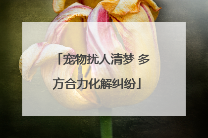 宠物扰人清梦 多方合力化解纠纷