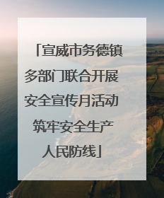 宣威市务德镇多部门联合开展安全宣传月活动 筑牢安全生产人民防线