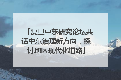 复旦中东研究论坛共话中东治理新方向，探讨地区现代化道路