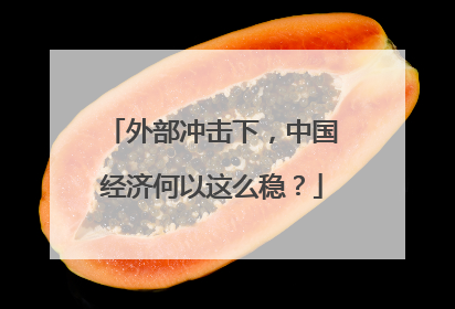 外部冲击下，中国经济何以这么稳？