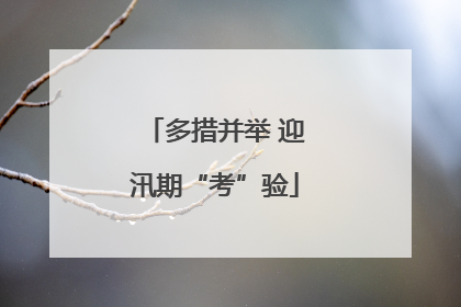 多措并举 迎汛期“考”验