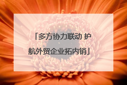 多方协力联动 护航外贸企业拓内销