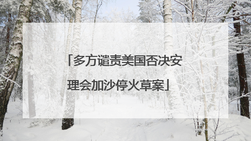 多方谴责美国否决安理会加沙停火草案