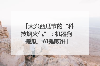 大兴西瓜节的“科技烟火气”：机器狗搬瓜、AI摊煎饼