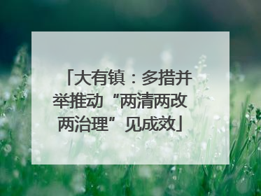 大有镇：多措并举推动“两清两改两治理”见成效