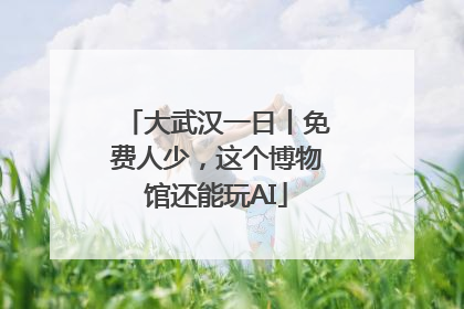 大武汉一日丨免费人少，这个博物馆还能玩AI