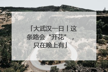 大武汉一日丨这条路会“开花”，只在晚上有