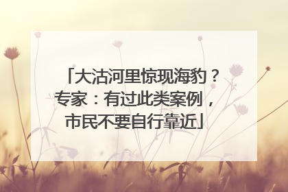 大沽河里惊现海豹？专家：有过此类案例，市民不要自行靠近