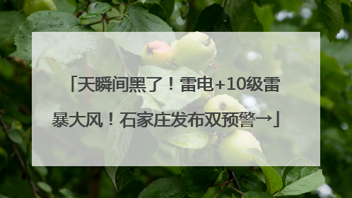 天瞬间黑了！雷电+10级雷暴大风！石家庄发布双预警→