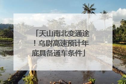 天山南北变通途！乌尉高速预计年底具备通车条件