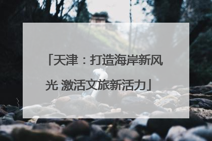 天津：打造海岸新风光 激活文旅新活力