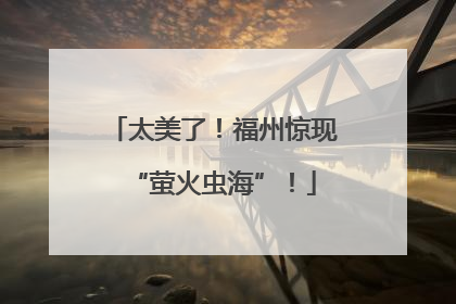 太美了！福州惊现“萤火虫海”！