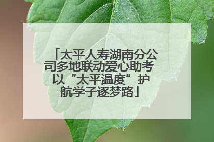 太平人寿湖南分公司多地联动爱心助考 以“太平温度”护航学子逐梦路