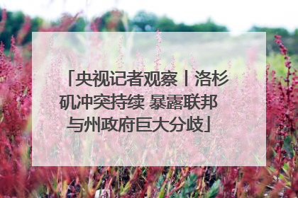 央视记者观察丨洛杉矶冲突持续 暴露联邦与州政府巨大分歧