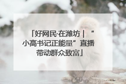 好网民·在潍坊｜“小高书记正能量”直播 带动群众致富