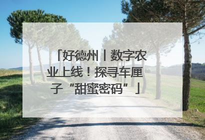好德州丨数字农业上线！探寻车厘子“甜蜜密码”
