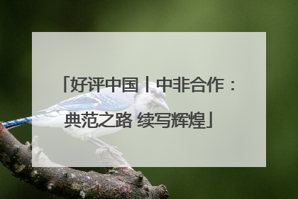 好评中国丨中非合作：典范之路 续写辉煌