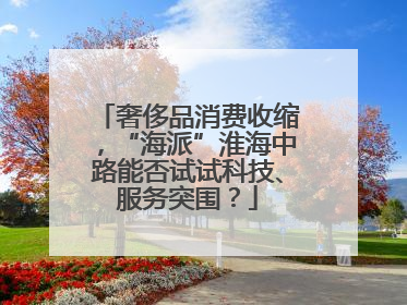 奢侈品消费收缩，“海派”淮海中路能否试试科技、服务突围？