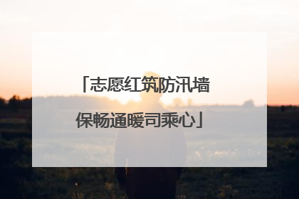 志愿红筑防汛墙 保畅通暖司乘心