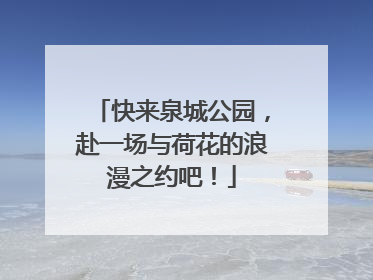 快来泉城公园，赴一场与荷花的浪漫之约吧！