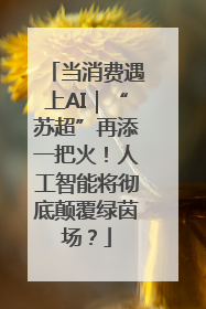 当消费遇上AI｜“苏超”再添一把火！人工智能将彻底颠覆绿茵场？