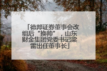 德邦证券董事会改组后“换帅”，山东财金集团党委书记梁雷出任董事长