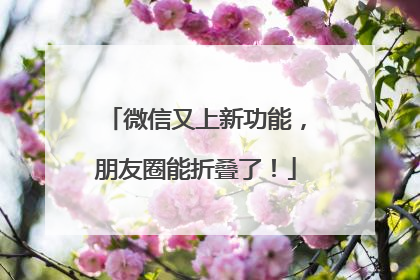 微信又上新功能，朋友圈能折叠了！
