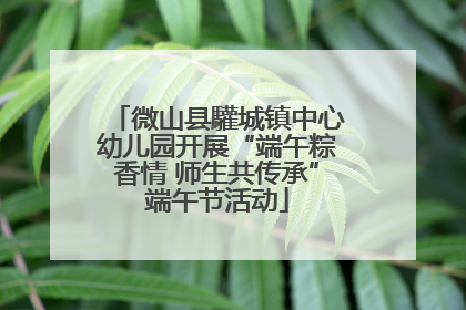 微山县驩城镇中心幼儿园开展“端午粽香情 师生共传承”端午节活动