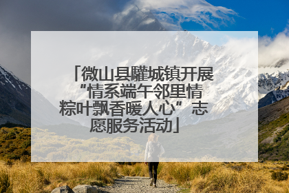 微山县驩城镇开展“情系端午邻里情 粽叶飘香暖人心”志愿服务活动