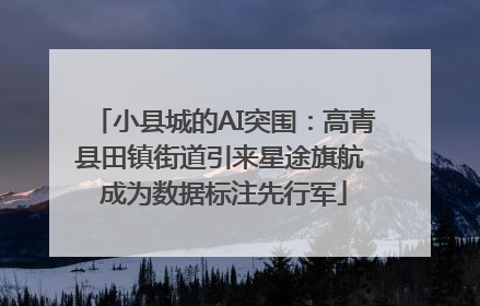 小县城的AI突围：高青县田镇街道引来星途旗航 成为数据标注先行军