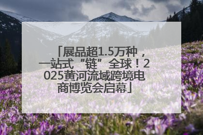 展品超1.5万种，一站式“链”全球！2025黄河流域跨境电商博览会启幕