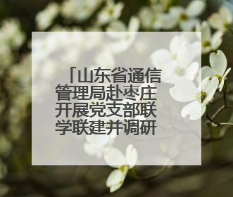 山东省通信管理局赴枣庄开展党支部联学联建并调研通信业防汛准备工作