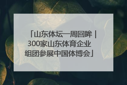山东体坛一周回眸｜300家山东体育企业组团参展中国体博会