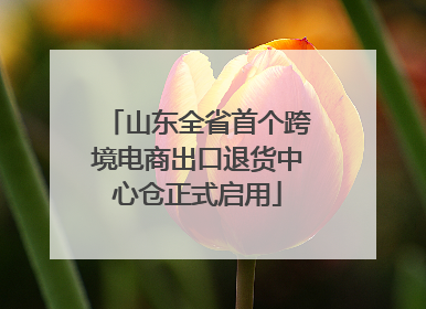 山东全省首个跨境电商出口退货中心仓正式启用