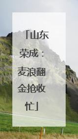山东荣成：麦浪翻金抢收忙