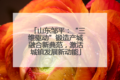 山东邹平：“三维驱动”锻造产城融合新典范，激活城镇发展新动能