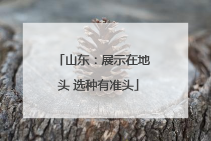 山东：展示在地头 选种有准头