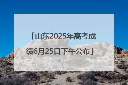 山东2025年高考成绩6月25日下午公布