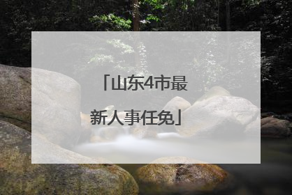 山东4市最新人事任免