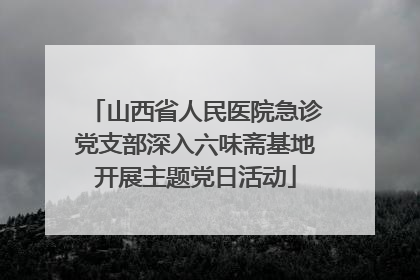 山西省人民医院急诊党支部深入六味斋基地开展主题党日活动