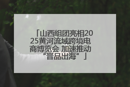 山西组团亮相2025黄河流域跨境电商博览会 加速推动“晋品出海”