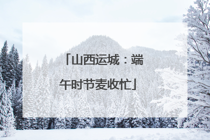山西运城：端午时节麦收忙