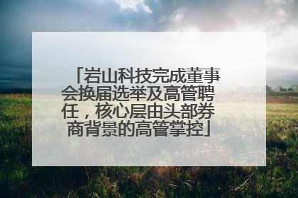 岩山科技完成董事会换届选举及高管聘任，核心层由头部券商背景的高管掌控